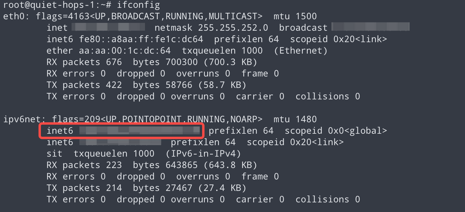 VPS ifconfig IPv6地址